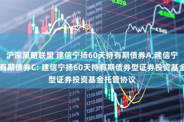 沪深策略联盟 建信宁扬60天持有期债券A,建信宁扬60天持有期债券C: 建信宁扬60天持有期债券型证券投资基金托管协议